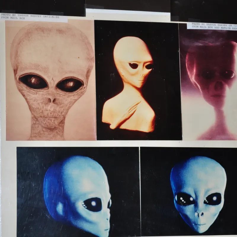 Photos-at-Little-Ale-Inn