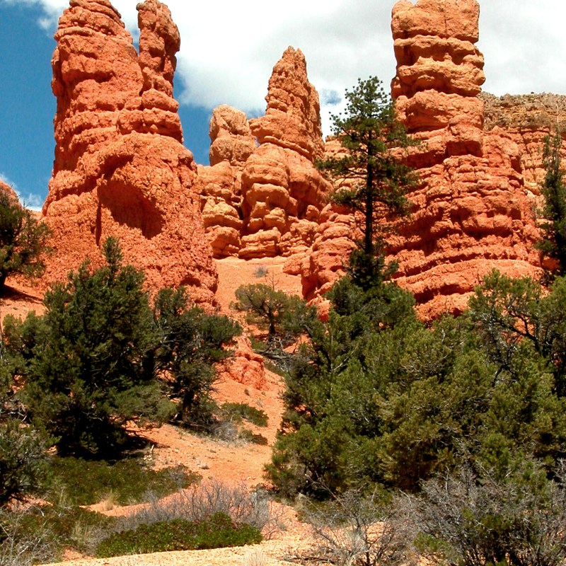 Bryce Canyon Rock Formations