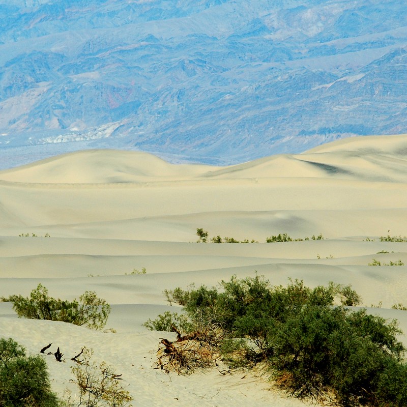 Death-Valley-Dunes