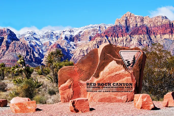 a canyon with a mountain in the background